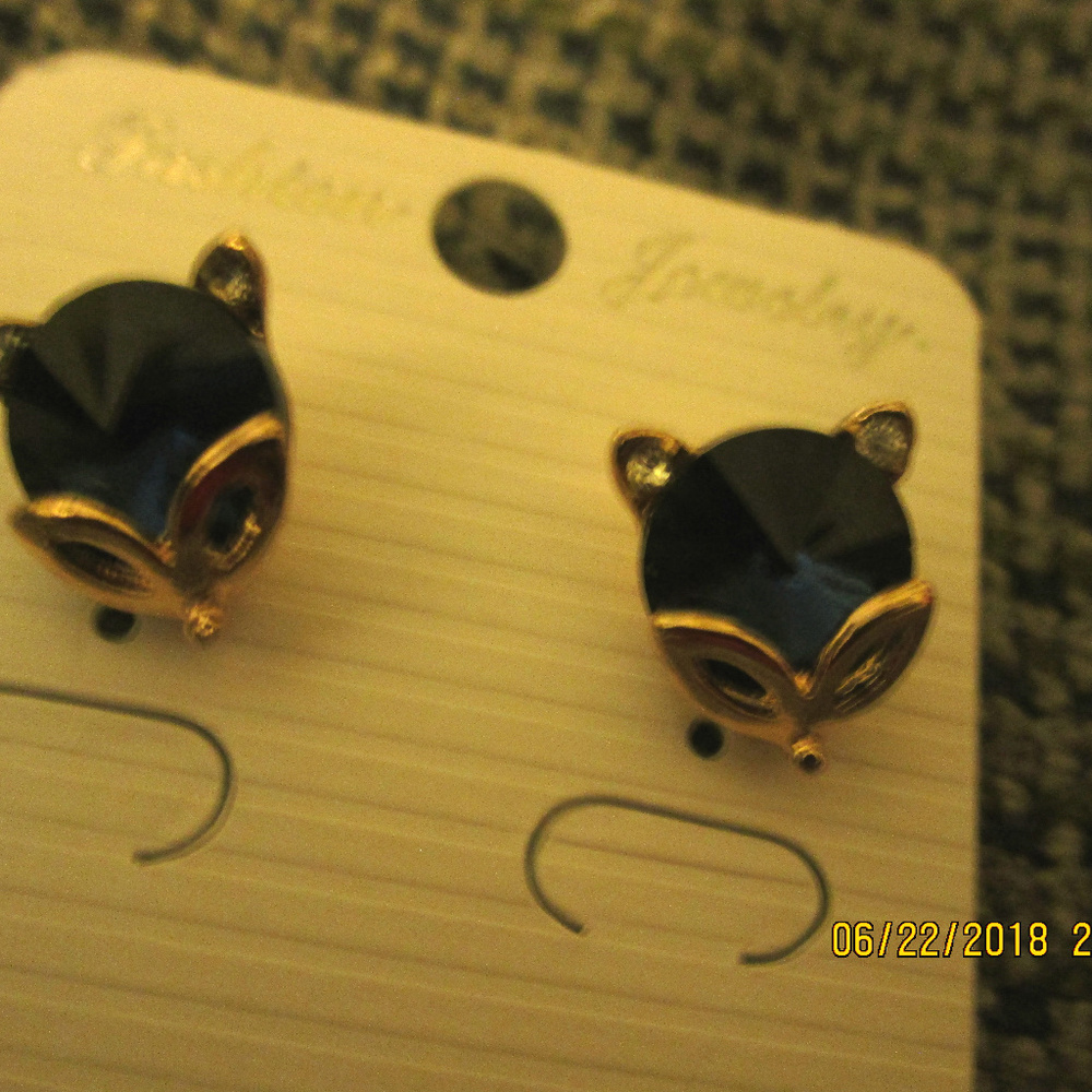 Earrings
